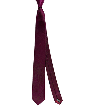 Salvatore Ferragamo Tie 