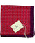 Luigi Borrelli Silk Pocket Square Red Purple Mini Floral