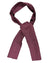 Ascot Tie Ferragamo