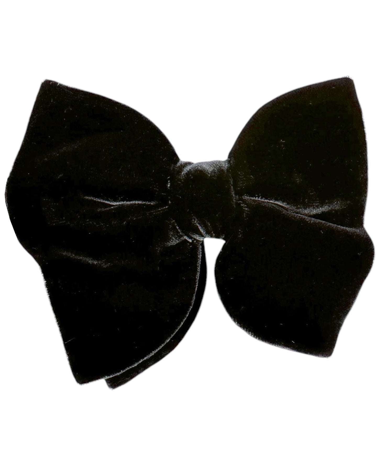 Le Noeud Papillon Dark Brown Velvet Bow Tie - Extra Large Pre-Tied Bow