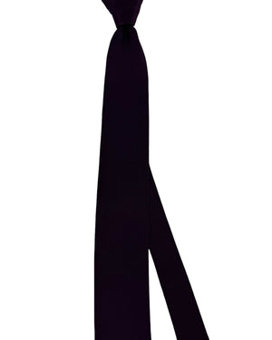 Ermenegildo Zegna Tie Dark Aubergine Solid - XXX Couture - 2 Sided (Copy)