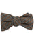 Gucci Bow Tie Brown Gray Stripes Design - Self Tie Bow Tie